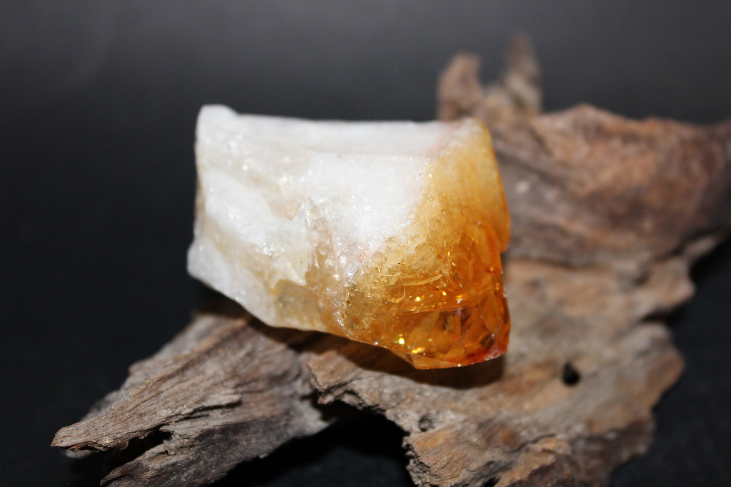 Point - Citrine (tooth) - lge