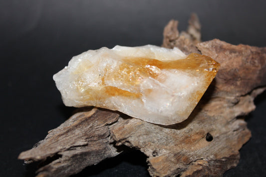Point - Citrine (tooth) - lge
