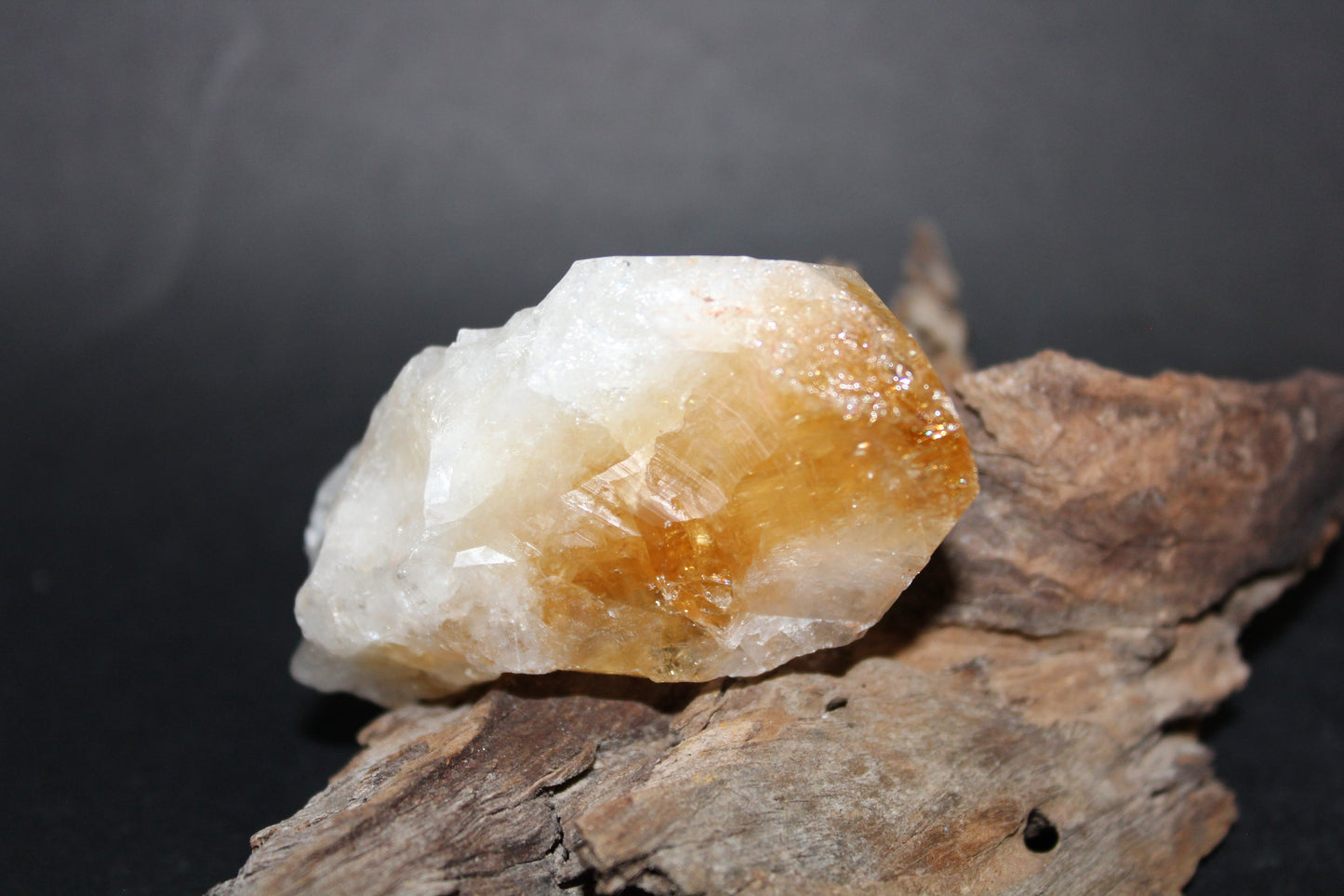 Point - Citrine (tooth) - lge