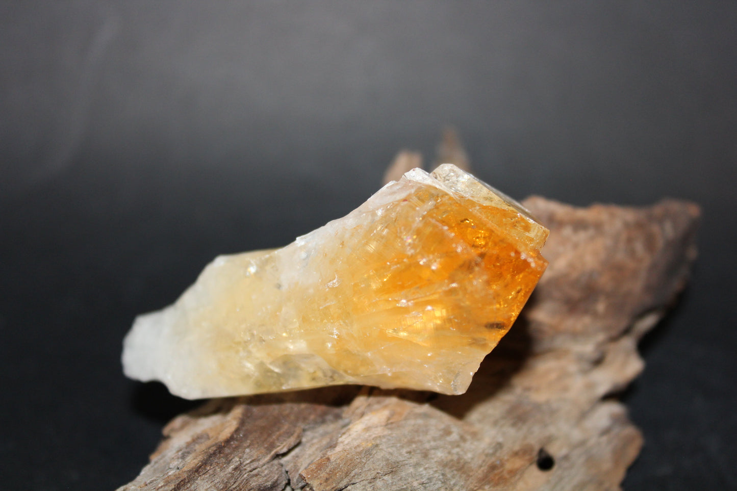Point - Citrine (tooth) - lge