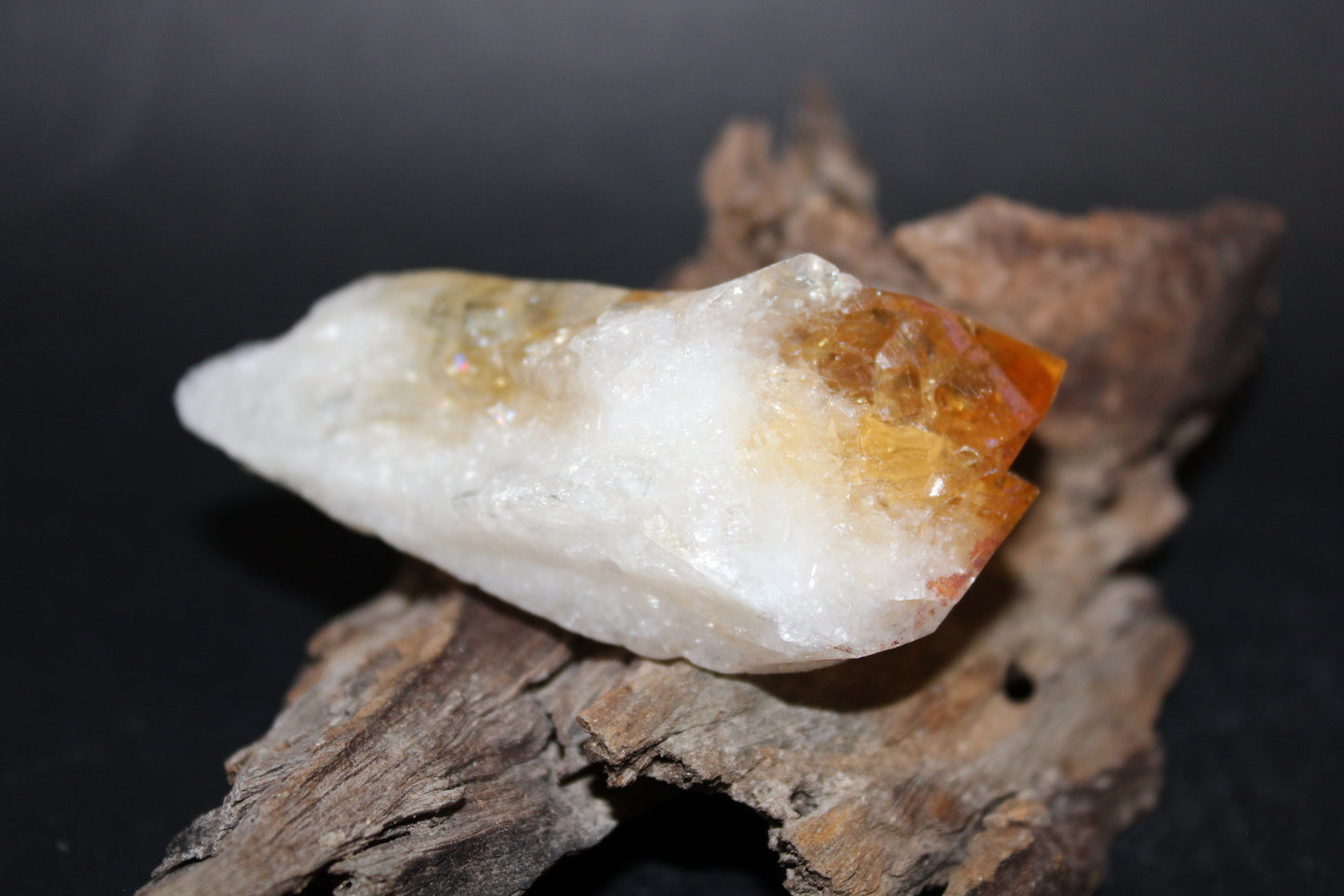 Point - Citrine (tooth) - lge