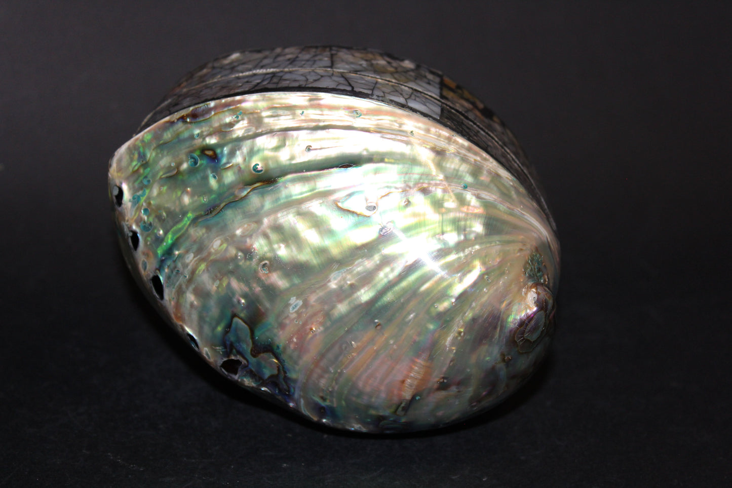 Box - Shell - Abalone - med
