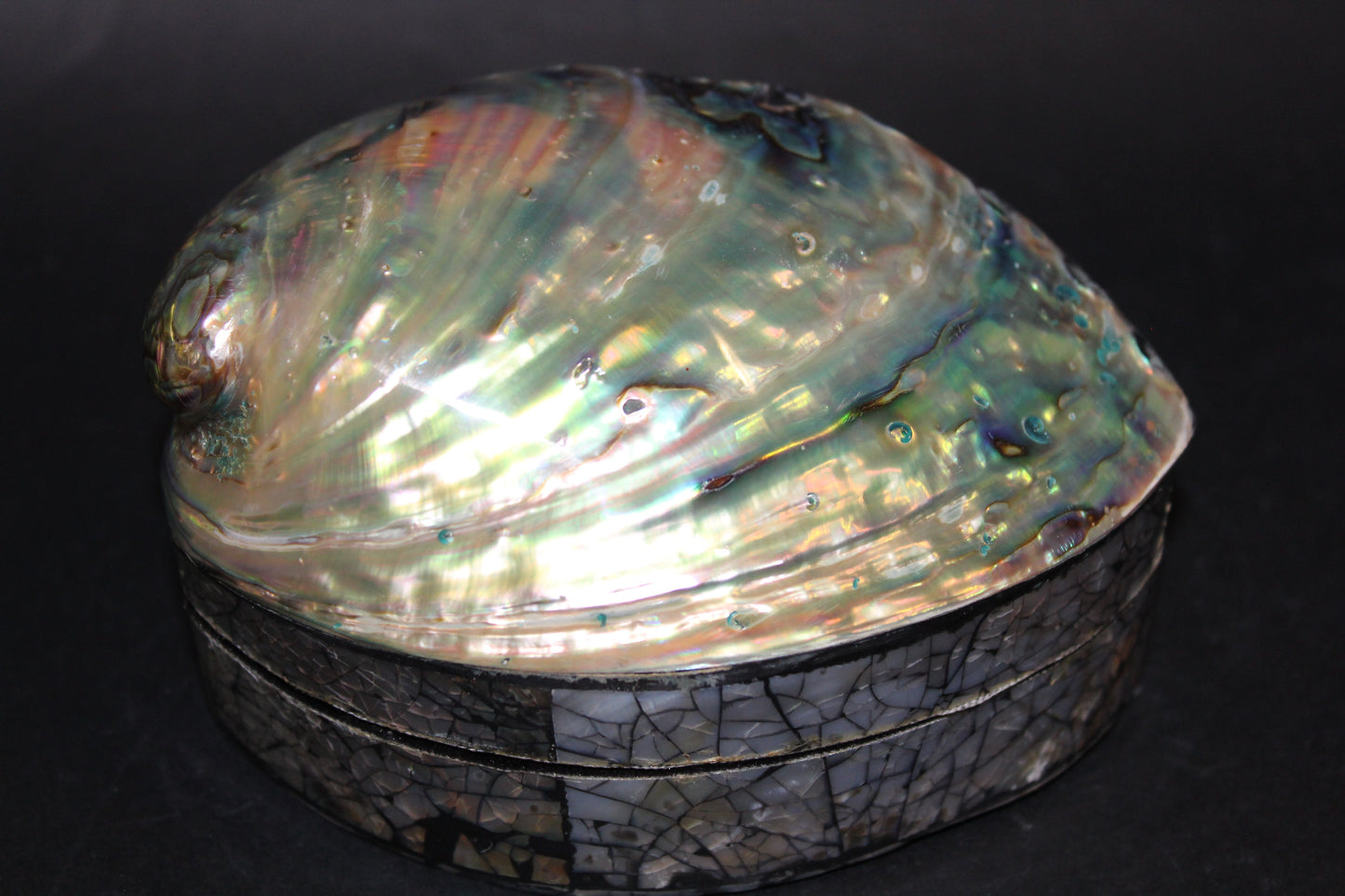 Box - Shell - Abalone - med