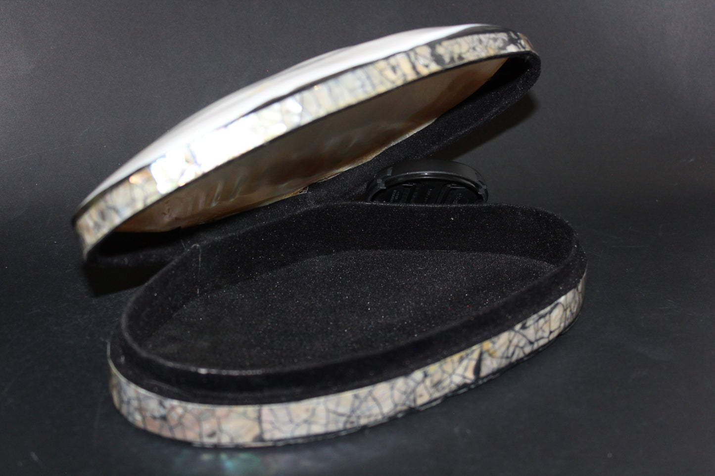 Box - Shell - Freshwater Muscle (hinged lid) - lge