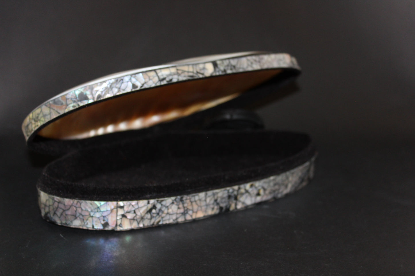 Box - Shell - Freshwater Muscle (hinged lid) - lge