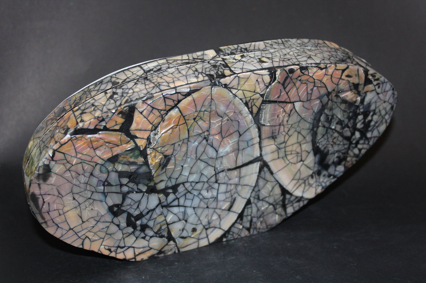 Box - Shell - Freshwater Muscle (hinged lid) - lge