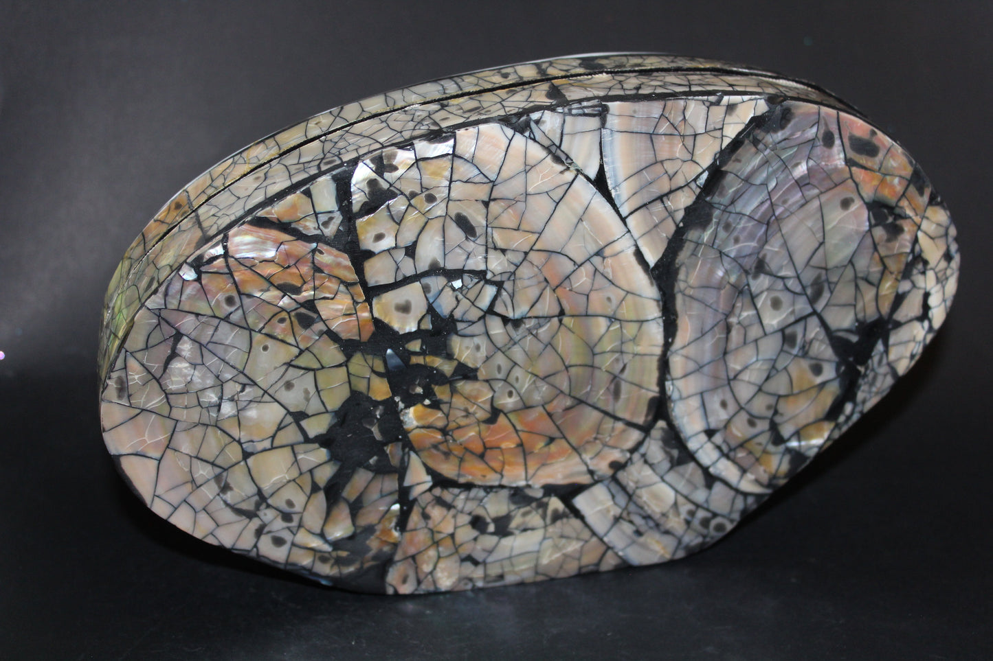 Box - Shell - Freshwater Muscle (hinged lid) - lge