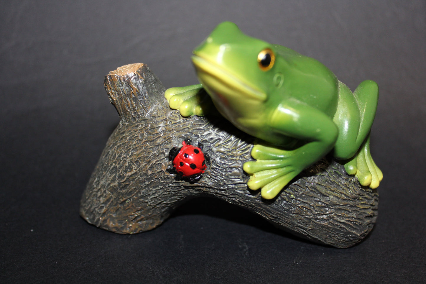 Frog (on log)
