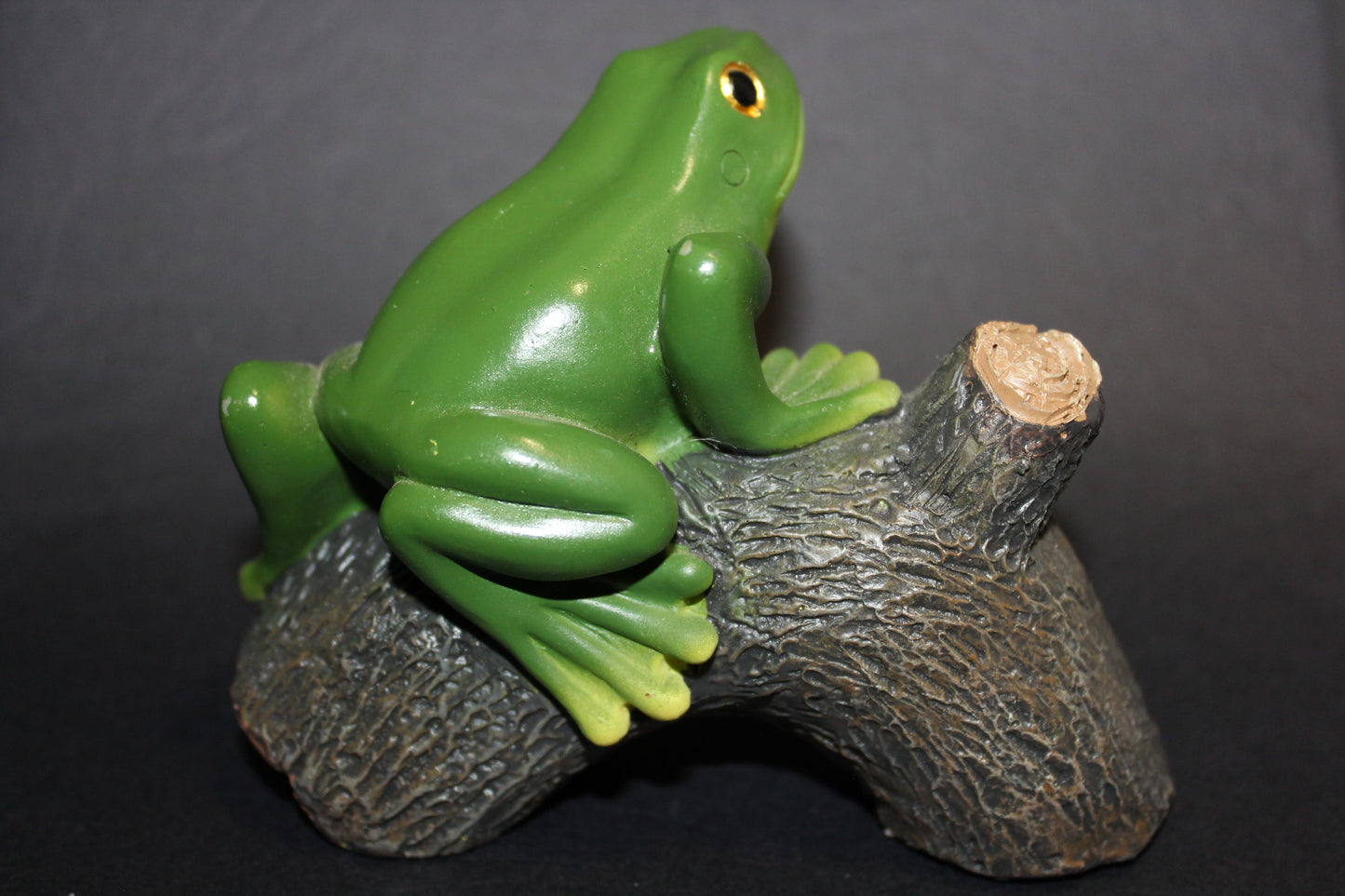 Frog (on log)