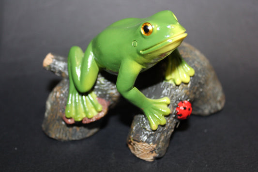 Frog (on log)