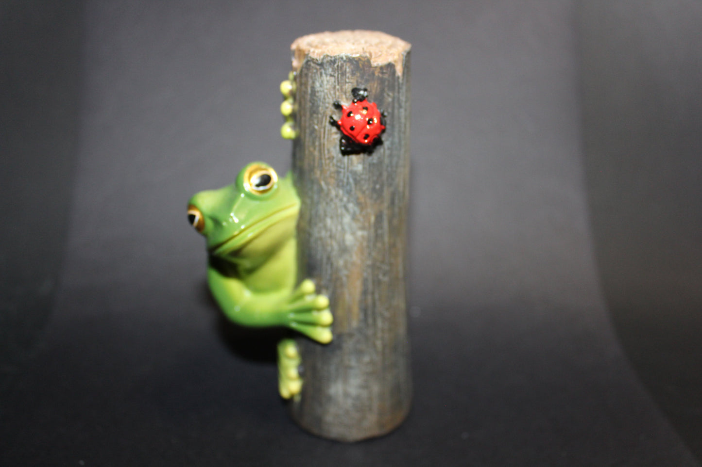 Frog (on log)