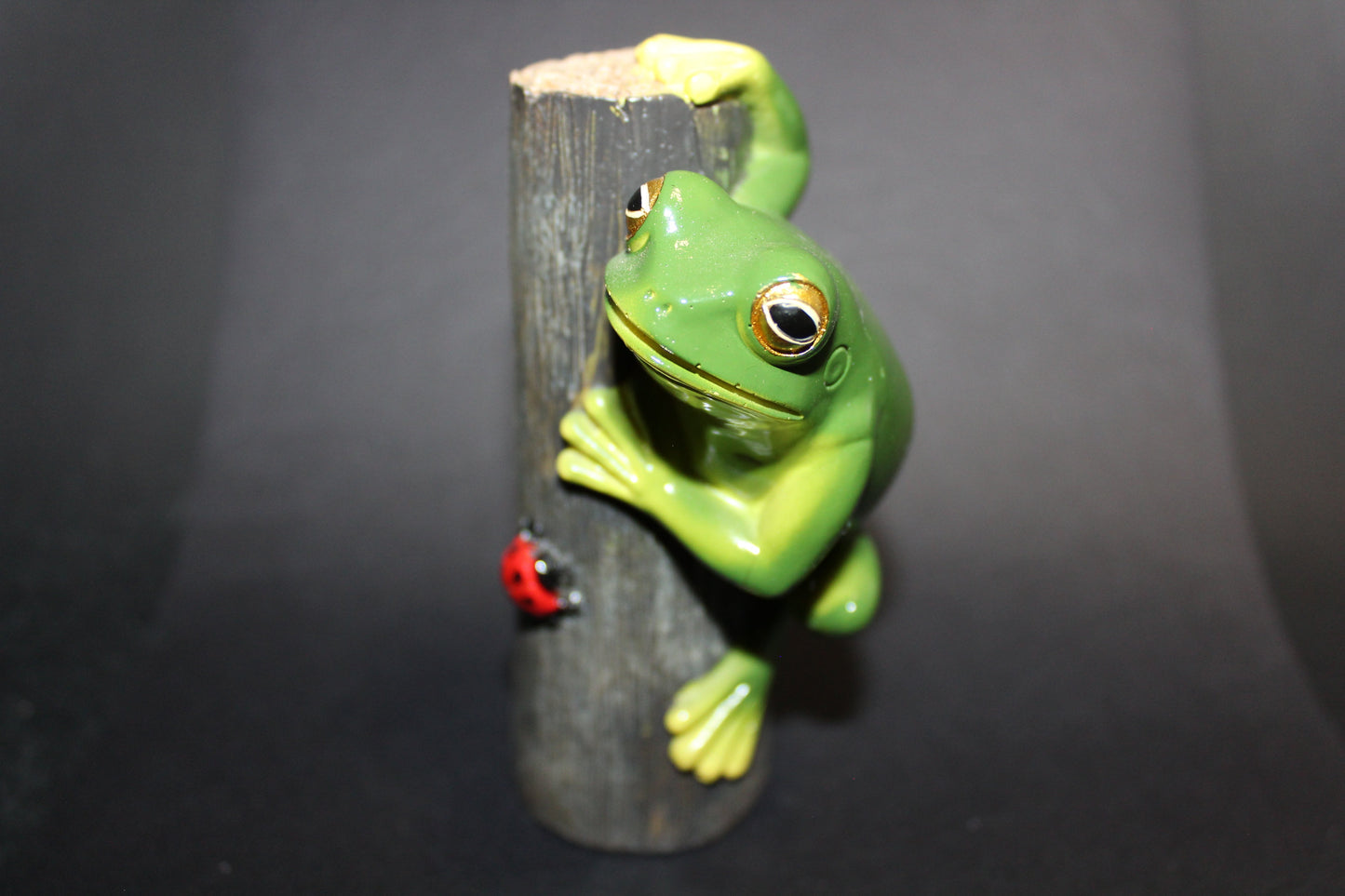 Frog (on log)