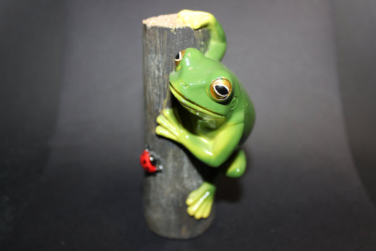 Frog (on log)
