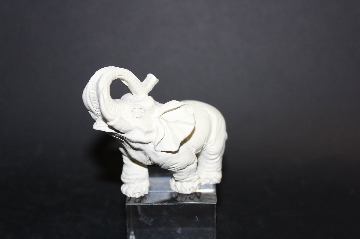 Elephant (ivory)