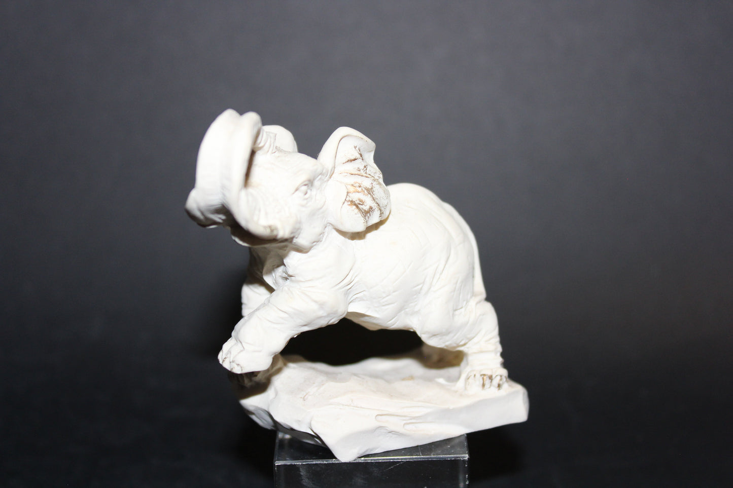 Elephant (ivory)