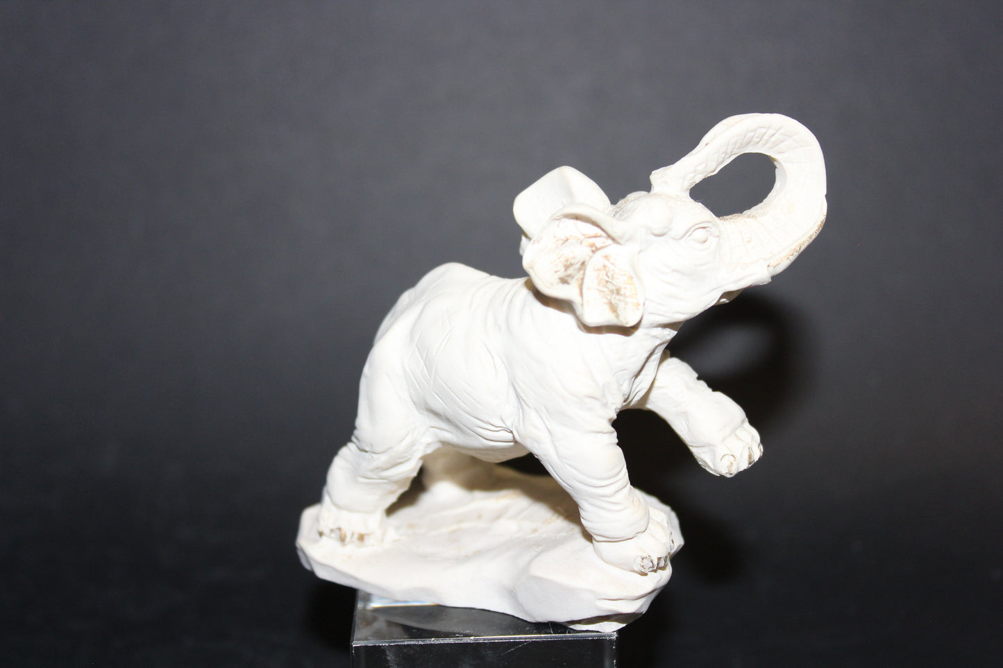 Elephant (ivory)