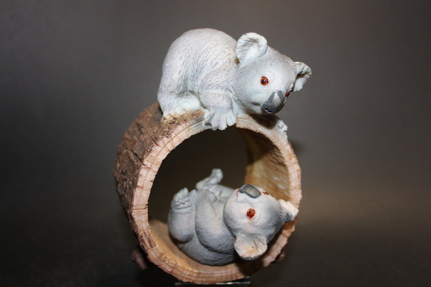 Koala (2 playing in log)