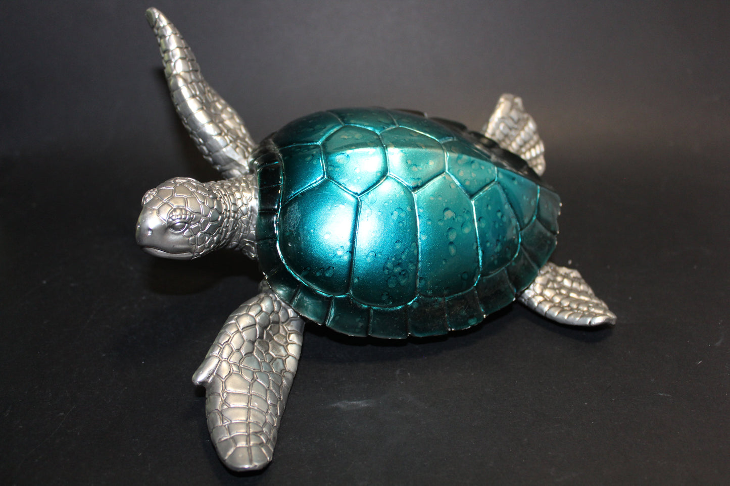 Turtle (Blue/Silver) - lge