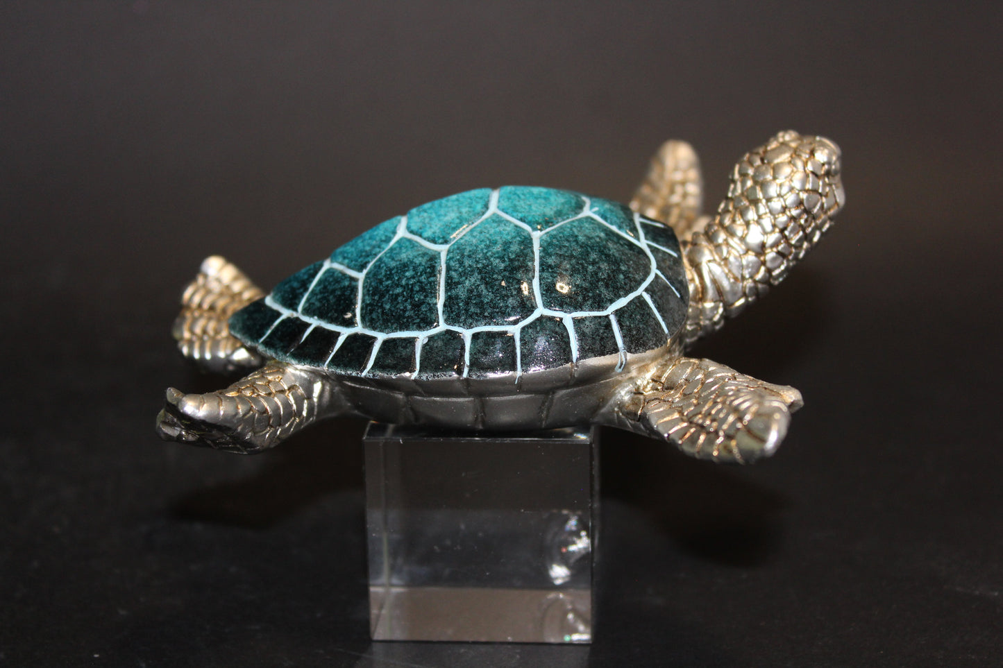 Turtle (Blue/Silver) - med