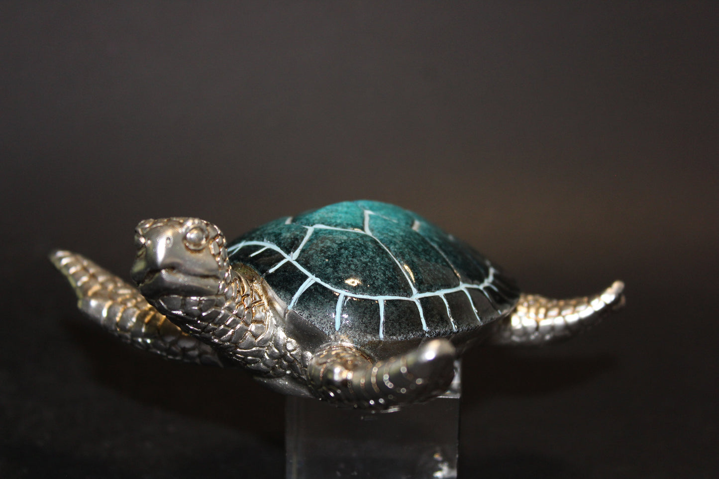 Turtle (Blue/Silver) - med