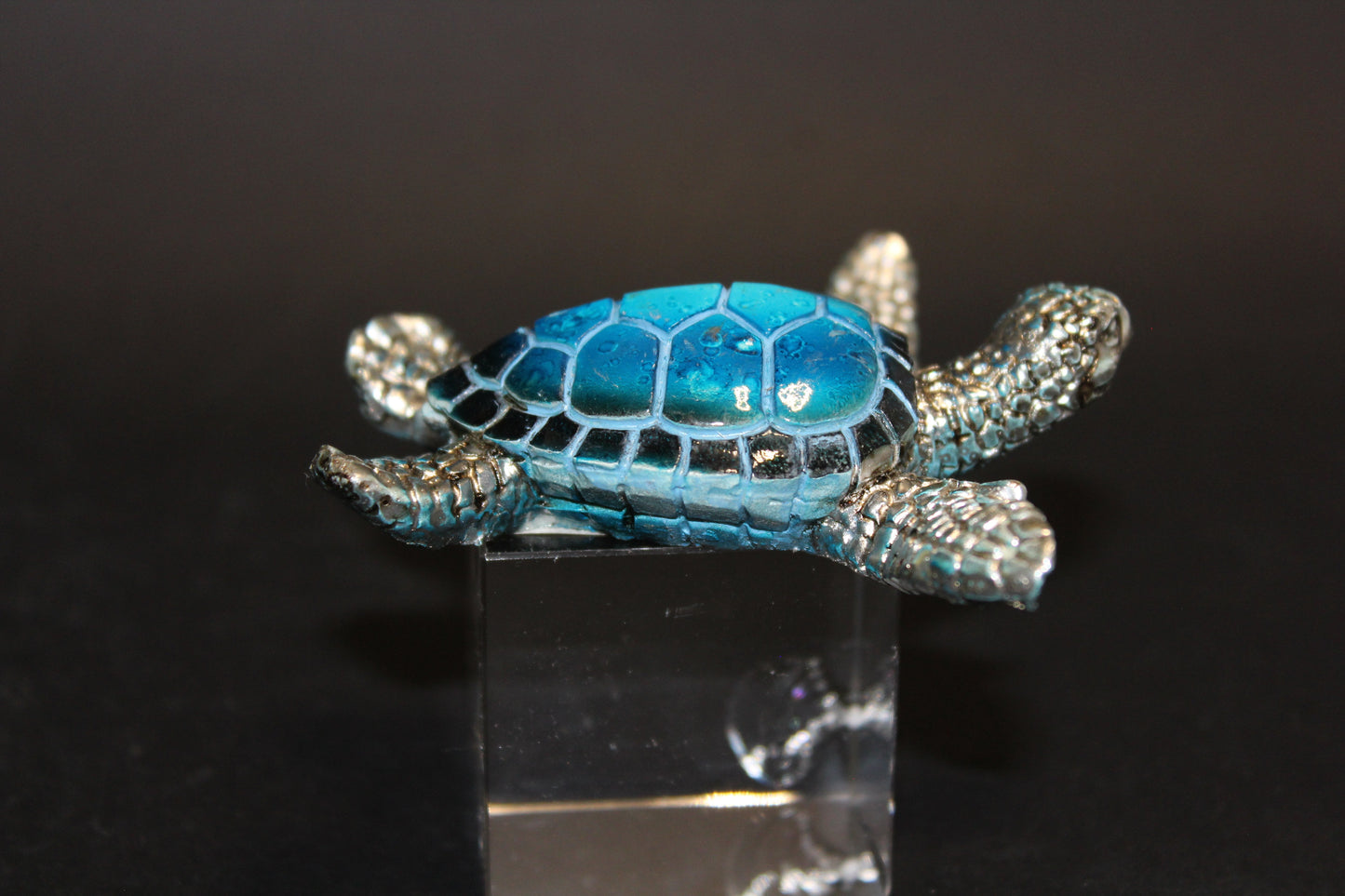 Turtle (Blue/Silver) - sml