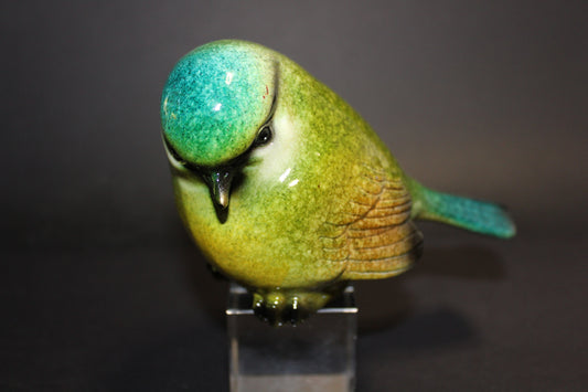 Bird (green/yellow/blue)