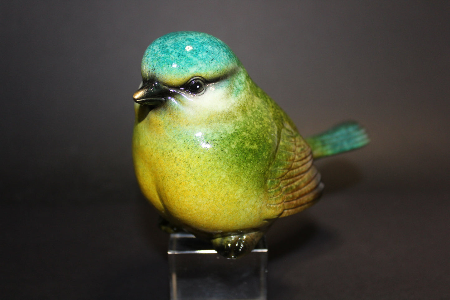 Bird (green/yellow/blue)