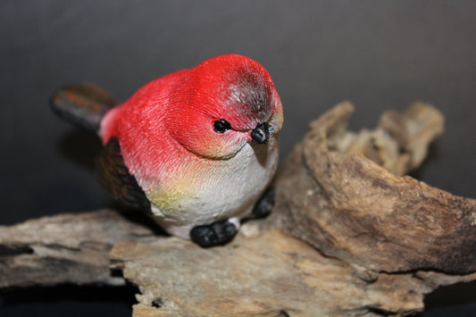Bird - Wren (red/brown)