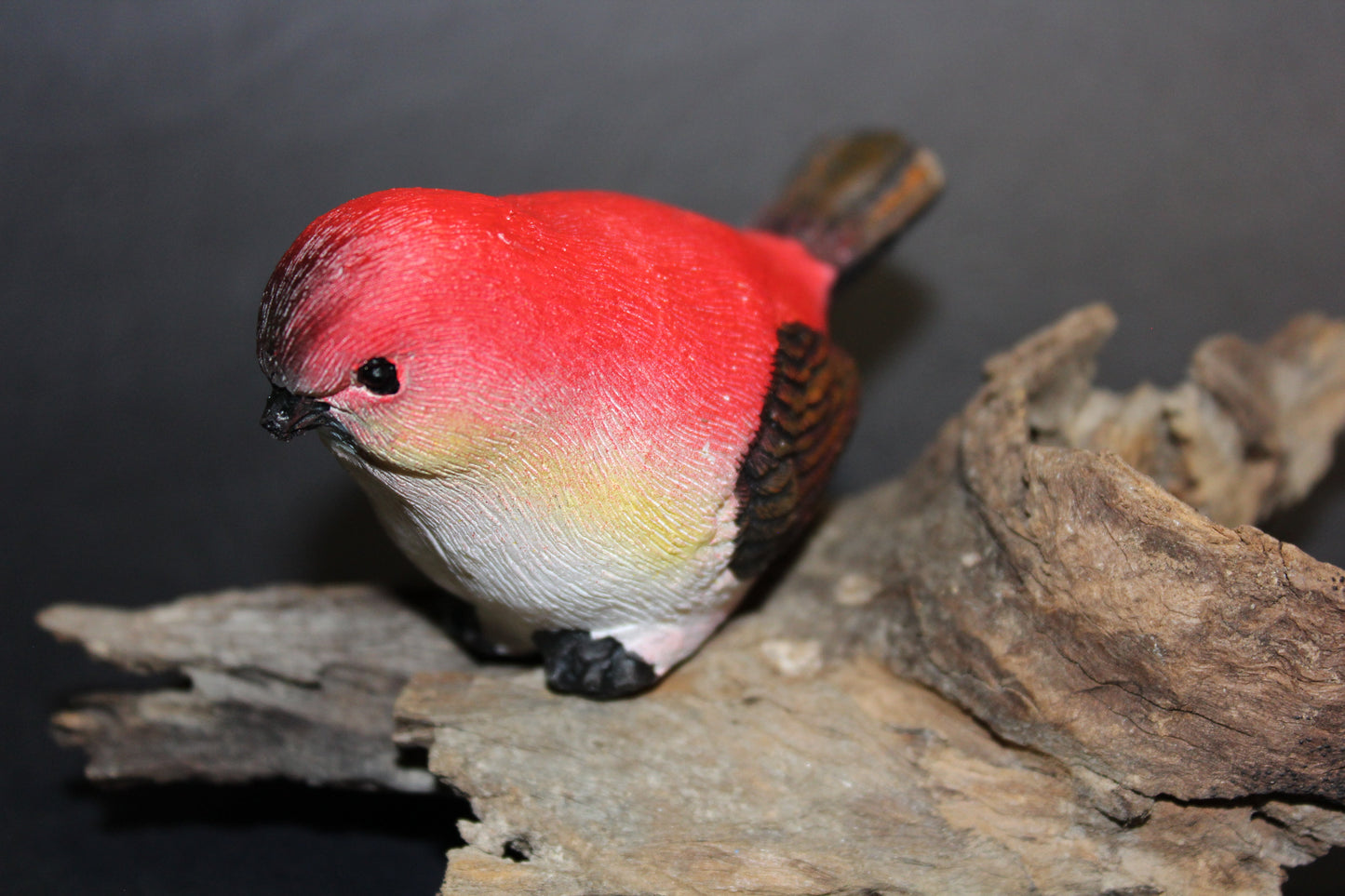 Bird - Wren (red/brown)