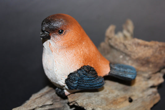 Bird - Wren (tan/black)