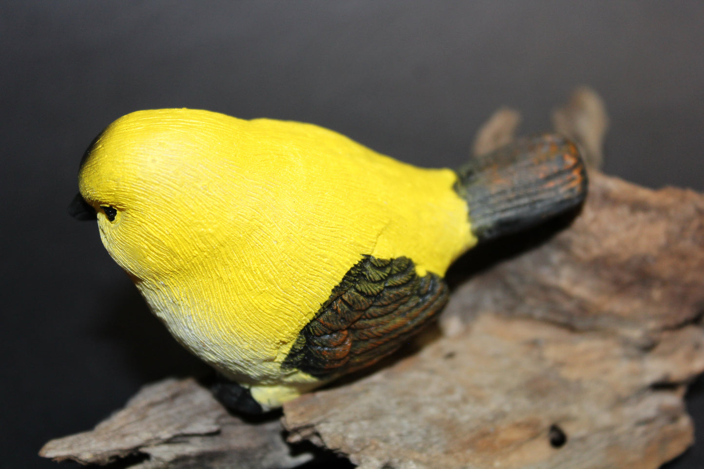 Bird - Wren (yellow/orange/black)