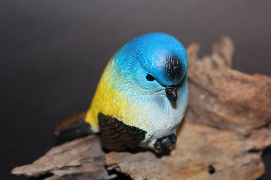 Bird - Wren (blue/yellow/orange)