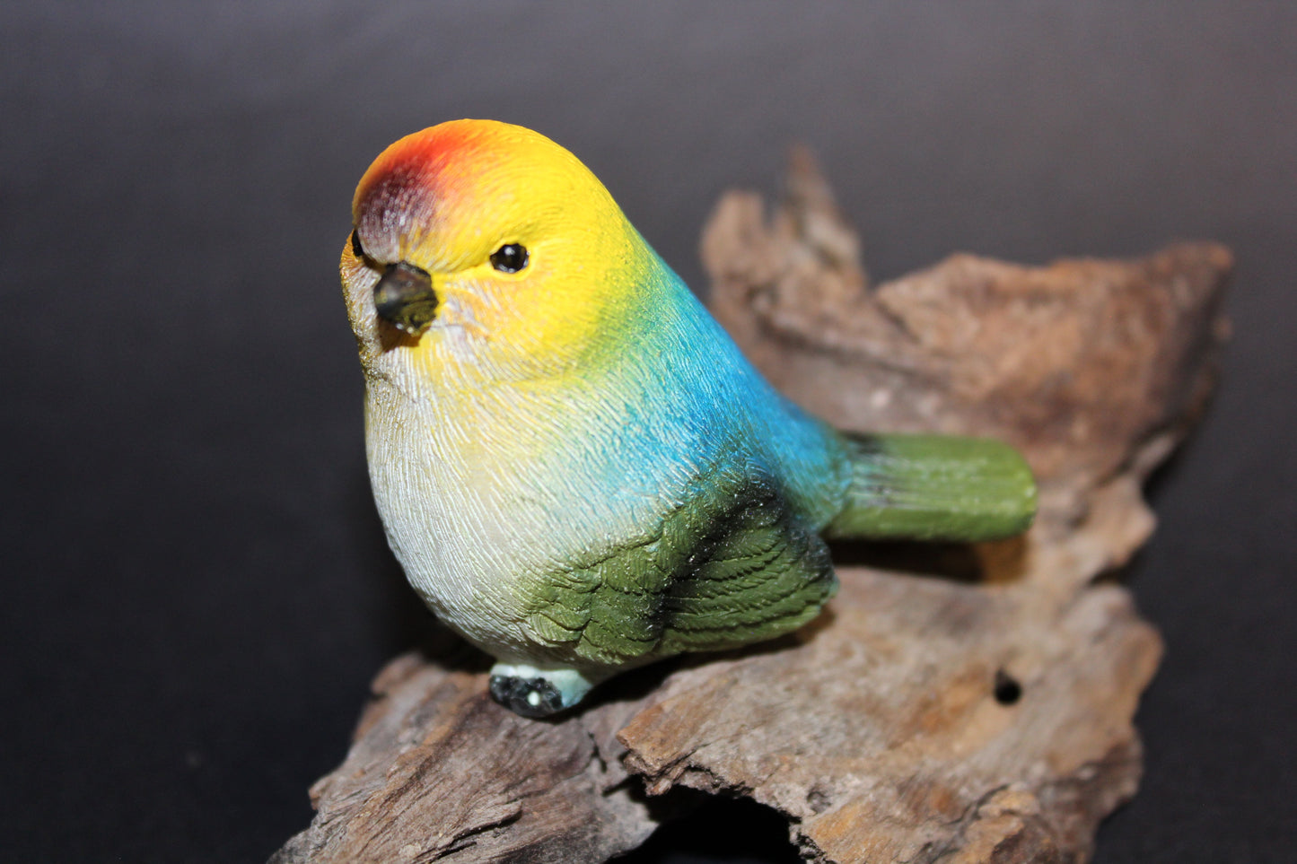 Bird - Wren (rainbow)
