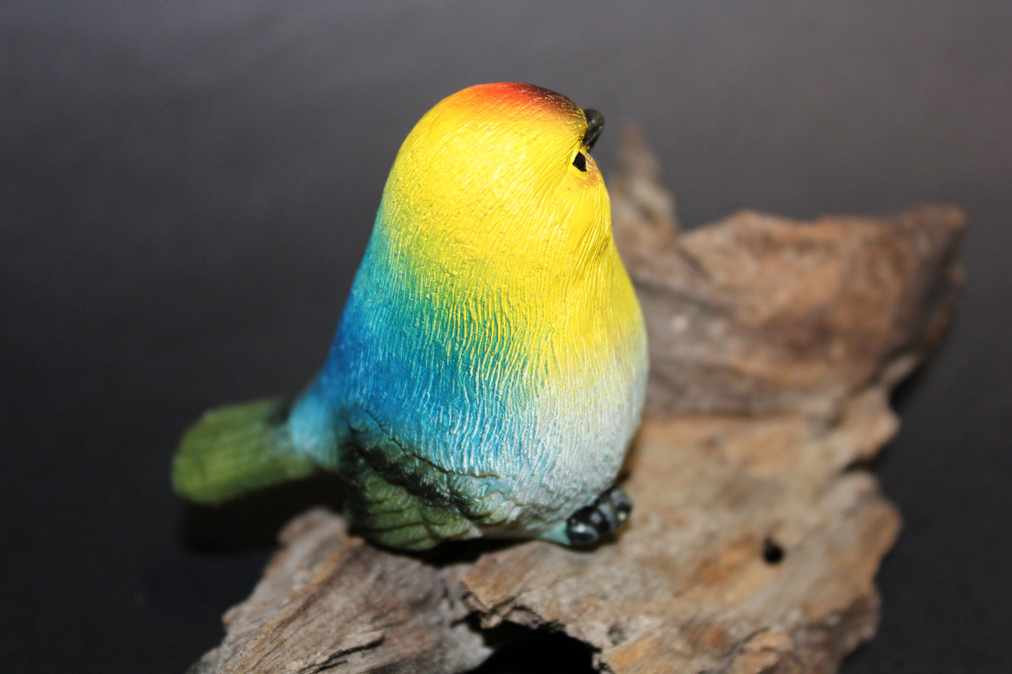 Bird - Wren (rainbow)