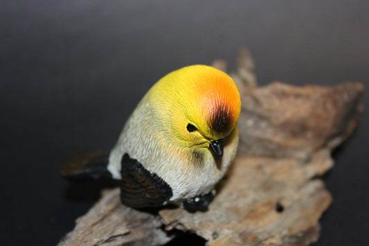 Bird - Wren (orange/yellow/grey)