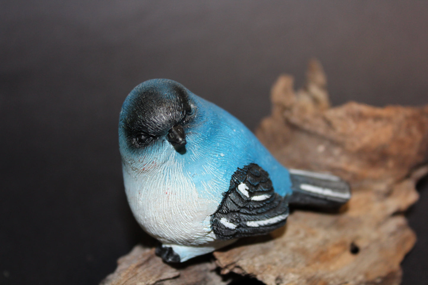 Bird - Wren (blue/black)