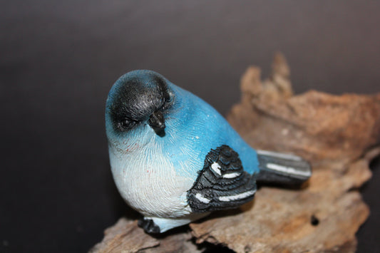 Bird - Wren (blue/black)