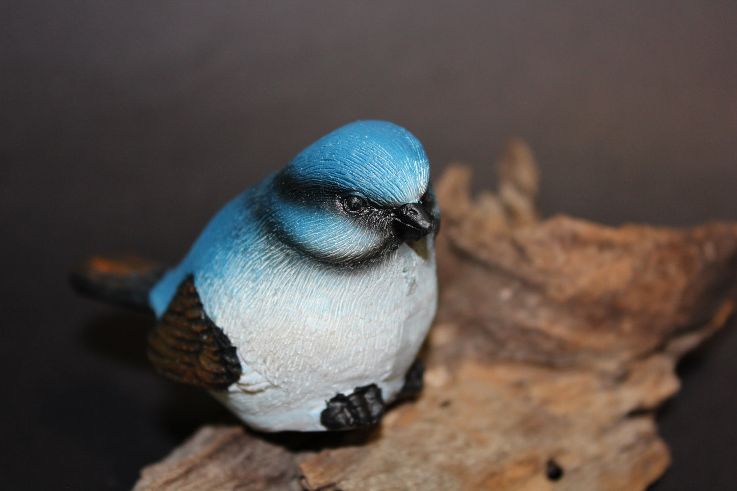 Bird - Wren (blue/black)