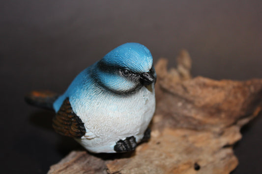 Bird - Wren (blue/black)