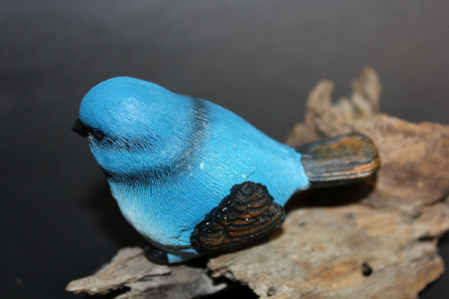 Bird - Wren (blue/black)