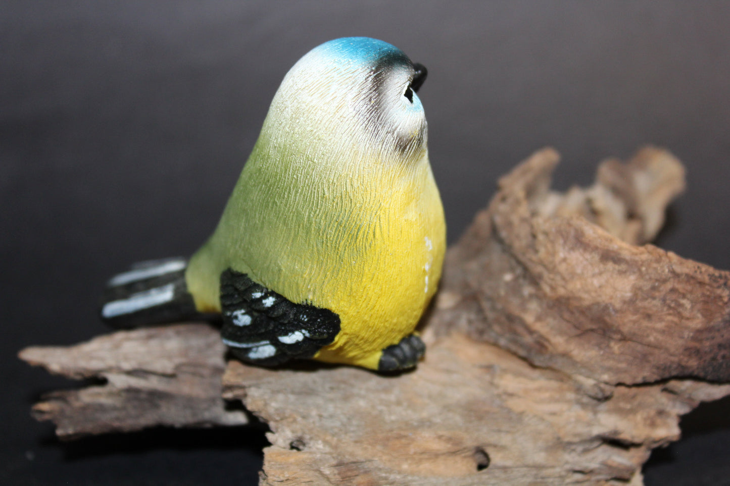 Bird - Wren (blue/yellow/grey)