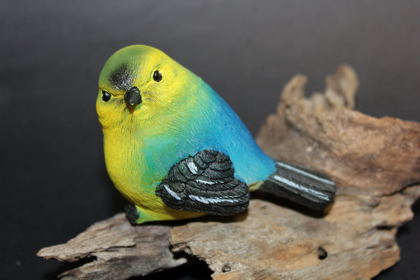 Bird - Wren (yellow/green/blue)