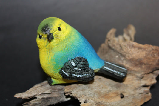 Bird - Wren (yellow/green/blue)