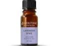 Essential Oil - Lavender Spike