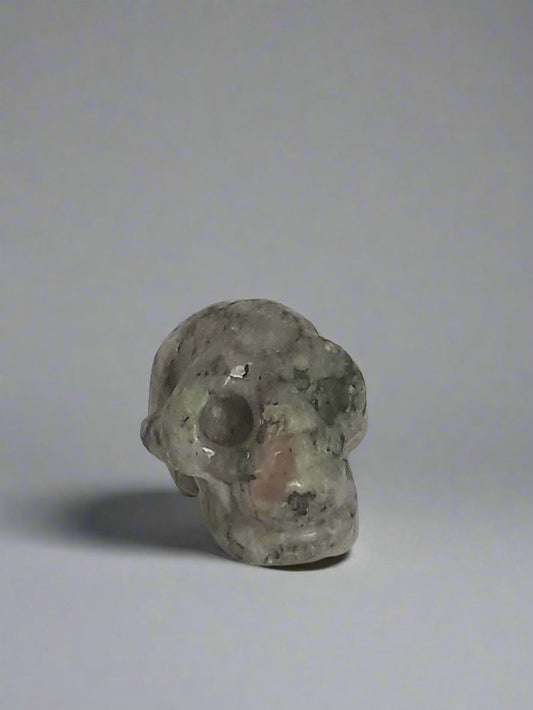 Skull - Jasper - xsml