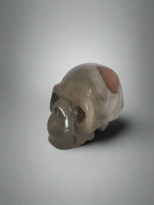 Skull - Polychrome Jasper - lge